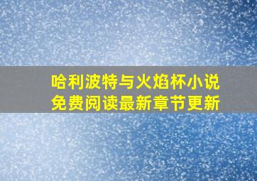 哈利波特与火焰杯小说免费阅读最新章节更新