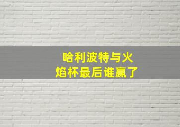 哈利波特与火焰杯最后谁赢了