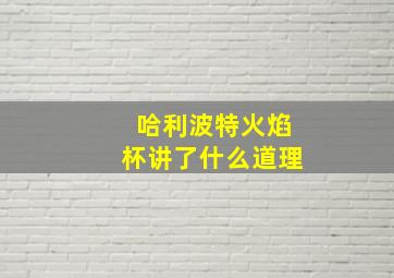 哈利波特火焰杯讲了什么道理