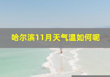 哈尔滨11月天气温如何呢