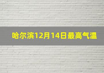 哈尔滨12月14日最高气温