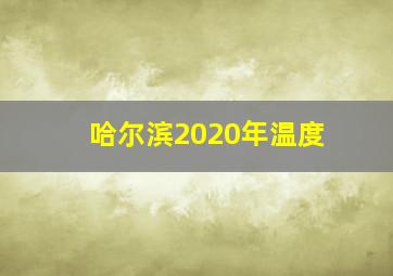 哈尔滨2020年温度