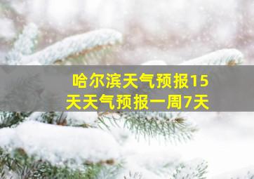 哈尔滨天气预报15天天气预报一周7天