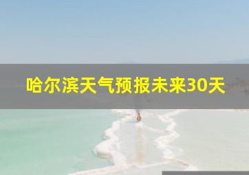 哈尔滨天气预报未来30天