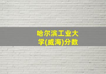 哈尔滨工业大学(威海)分数