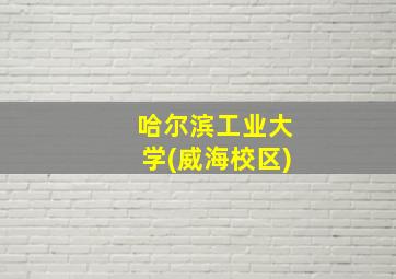 哈尔滨工业大学(威海校区)