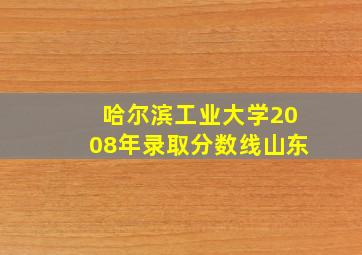 哈尔滨工业大学2008年录取分数线山东