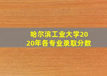 哈尔滨工业大学2020年各专业录取分数