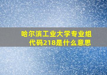 哈尔滨工业大学专业组代码218是什么意思