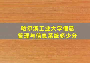 哈尔滨工业大学信息管理与信息系统多少分