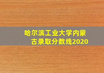 哈尔滨工业大学内蒙古录取分数线2020