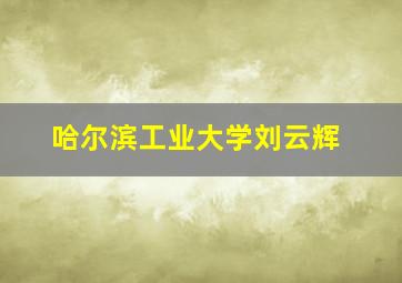 哈尔滨工业大学刘云辉