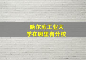 哈尔滨工业大学在哪里有分校