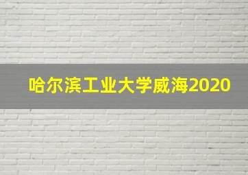 哈尔滨工业大学威海2020