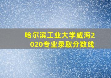 哈尔滨工业大学威海2020专业录取分数线