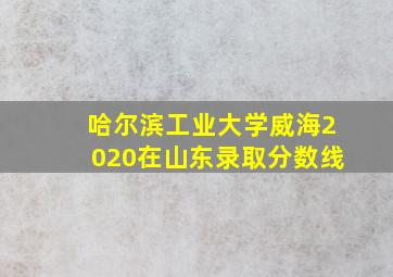 哈尔滨工业大学威海2020在山东录取分数线