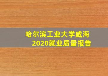 哈尔滨工业大学威海2020就业质量报告