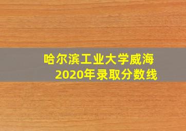 哈尔滨工业大学威海2020年录取分数线