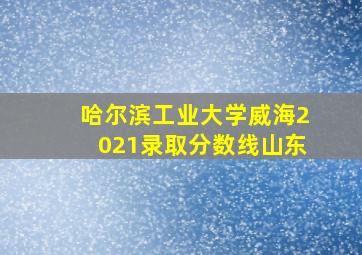 哈尔滨工业大学威海2021录取分数线山东