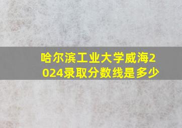 哈尔滨工业大学威海2024录取分数线是多少