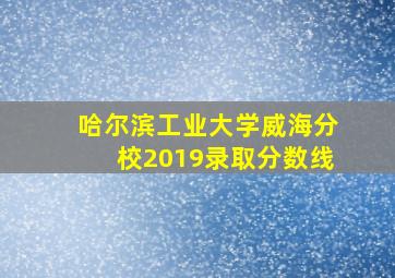 哈尔滨工业大学威海分校2019录取分数线