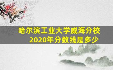 哈尔滨工业大学威海分校2020年分数线是多少