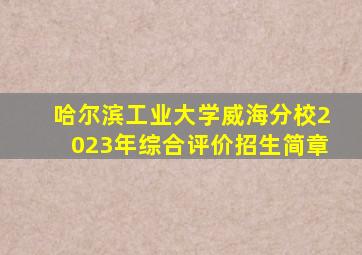 哈尔滨工业大学威海分校2023年综合评价招生简章