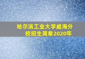 哈尔滨工业大学威海分校招生简章2020年