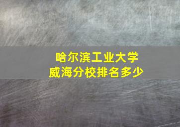 哈尔滨工业大学威海分校排名多少