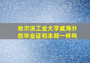 哈尔滨工业大学威海分校毕业证和本部一样吗