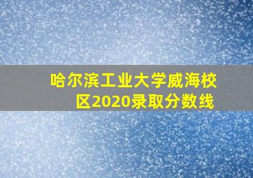 哈尔滨工业大学威海校区2020录取分数线