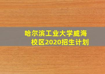 哈尔滨工业大学威海校区2020招生计划