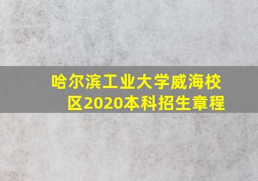 哈尔滨工业大学威海校区2020本科招生章程