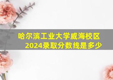 哈尔滨工业大学威海校区2024录取分数线是多少