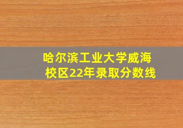 哈尔滨工业大学威海校区22年录取分数线