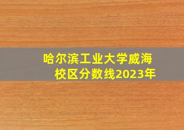 哈尔滨工业大学威海校区分数线2023年