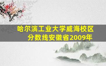 哈尔滨工业大学威海校区分数线安徽省2009年