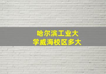 哈尔滨工业大学威海校区多大