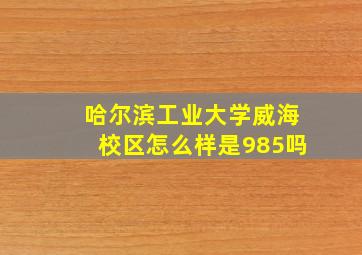 哈尔滨工业大学威海校区怎么样是985吗