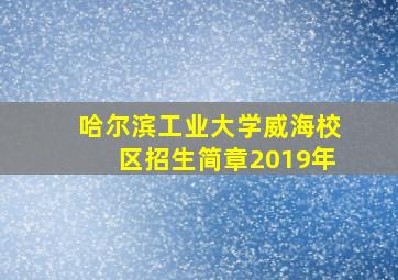 哈尔滨工业大学威海校区招生简章2019年