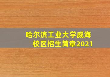 哈尔滨工业大学威海校区招生简章2021