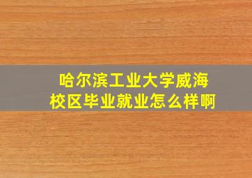 哈尔滨工业大学威海校区毕业就业怎么样啊