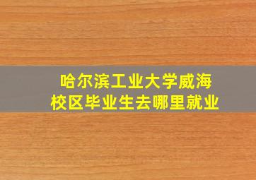 哈尔滨工业大学威海校区毕业生去哪里就业