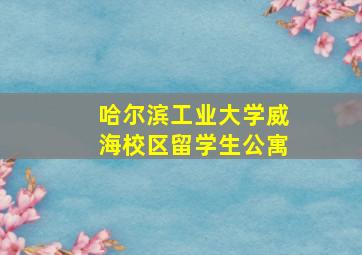 哈尔滨工业大学威海校区留学生公寓