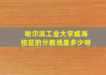 哈尔滨工业大学威海校区的分数线是多少呀