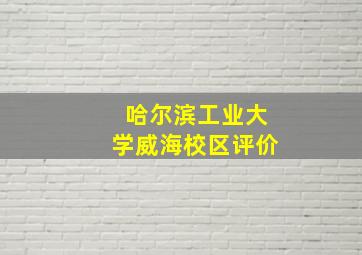 哈尔滨工业大学威海校区评价