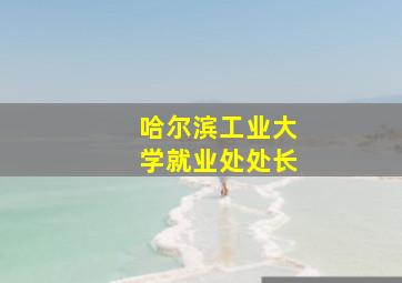 哈尔滨工业大学就业处处长