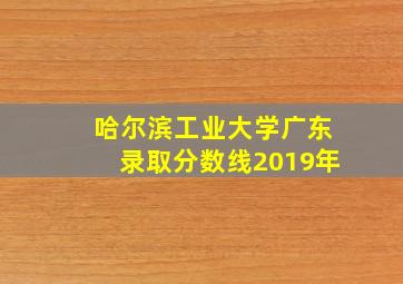 哈尔滨工业大学广东录取分数线2019年