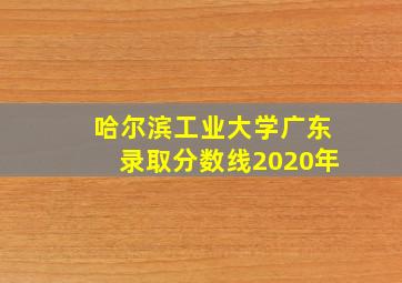 哈尔滨工业大学广东录取分数线2020年