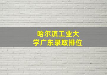 哈尔滨工业大学广东录取排位